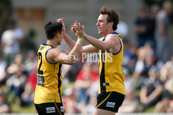 VFL 2015 2nd Semi Final - Sandringham v Collingwood - 403107