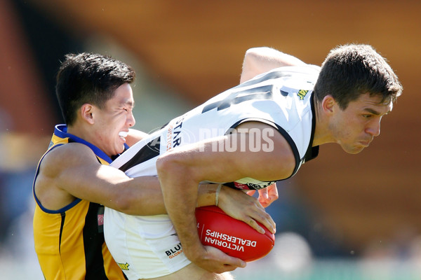 VFL 2015 2nd Semi Final - Sandringham v Collingwood - 403138