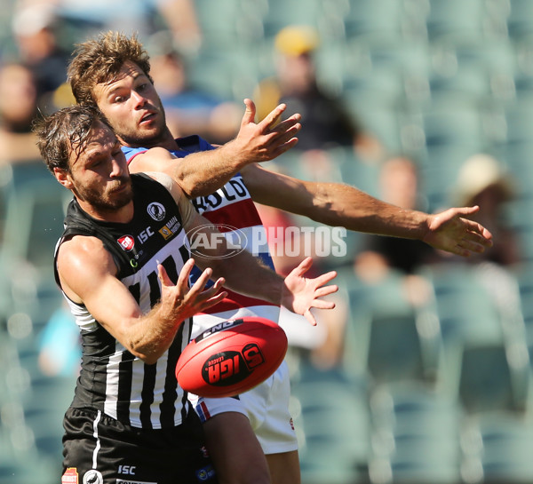 SANFL 2015 1st Semi Final - Port Adelaide Magpies v Central District - 403133