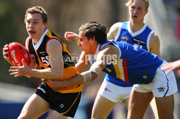 TAC 2015 Cup Semi Final - Dandenong Stingrays v Eastern Ranges - 404542