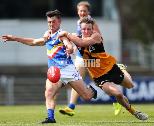 TAC 2015 Cup Semi Final - Dandenong Stingrays v Eastern Ranges - 404556