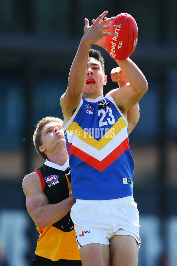 TAC 2015 Cup Semi Final - Dandenong Stingrays v Eastern Ranges - 404546