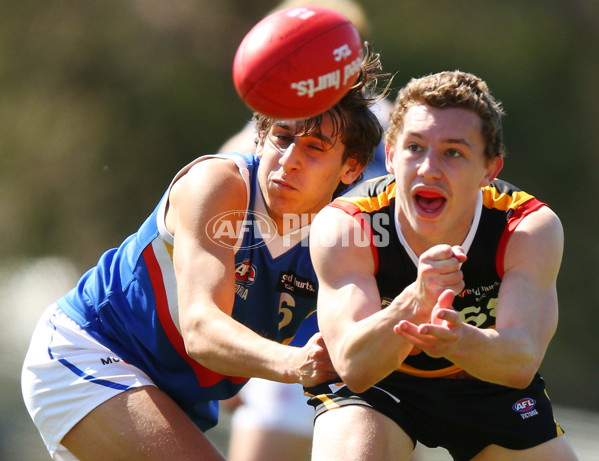 TAC 2015 Cup Semi Final - Dandenong Stingrays v Eastern Ranges - 404543