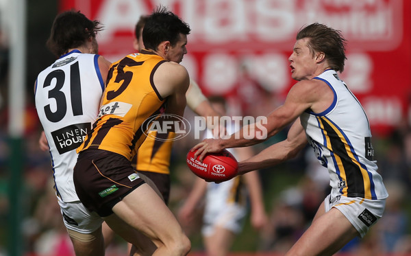 VFL 2015 Cup 2nd Preliminary Final - Box Hill v Sandringham - 404614