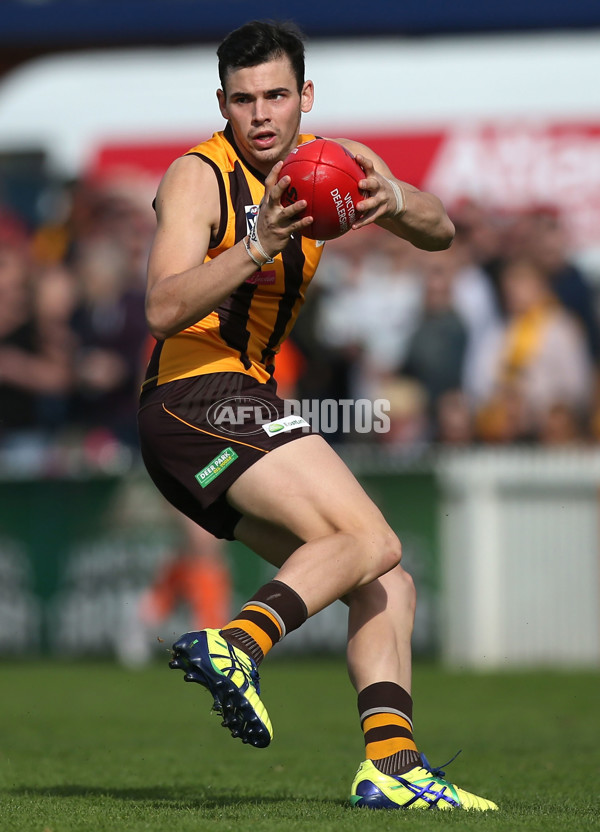 VFL 2015 Cup 2nd Preliminary Final - Box Hill v Sandringham - 404619