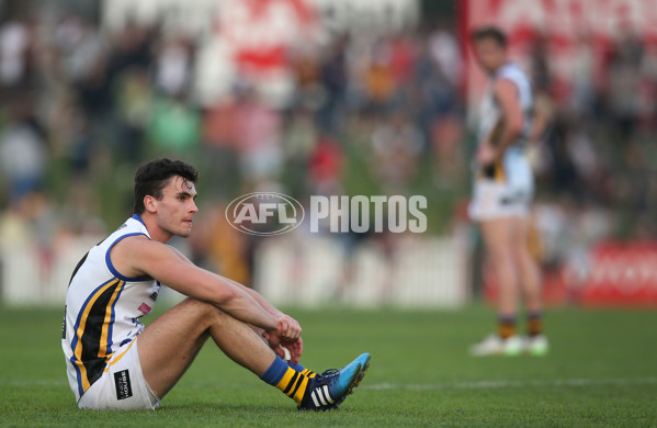 VFL 2015 Cup 2nd Preliminary Final - Box Hill v Sandringham - 404666