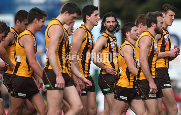 VFL 2015 Cup 2nd Preliminary Final - Box Hill v Sandringham - 404659