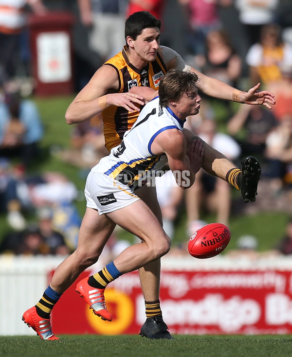 VFL 2015 Cup 2nd Preliminary Final - Box Hill v Sandringham - 404728