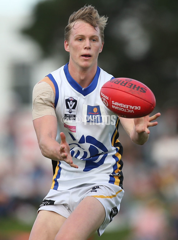 VFL 2015 Cup 2nd Preliminary Final - Box Hill v Sandringham - 404767