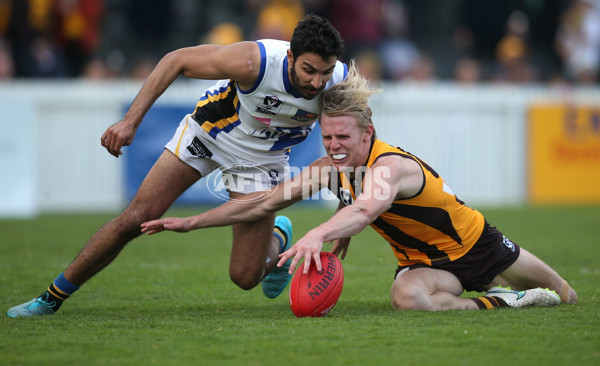 VFL 2015 Cup 2nd Preliminary Final - Box Hill v Sandringham - 404799