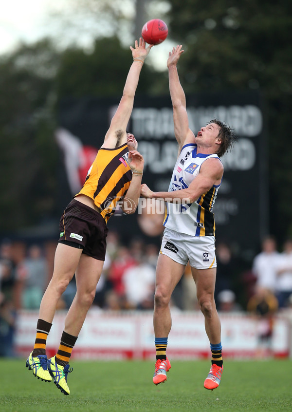 VFL 2015 Cup 2nd Preliminary Final - Box Hill v Sandringham - 404797