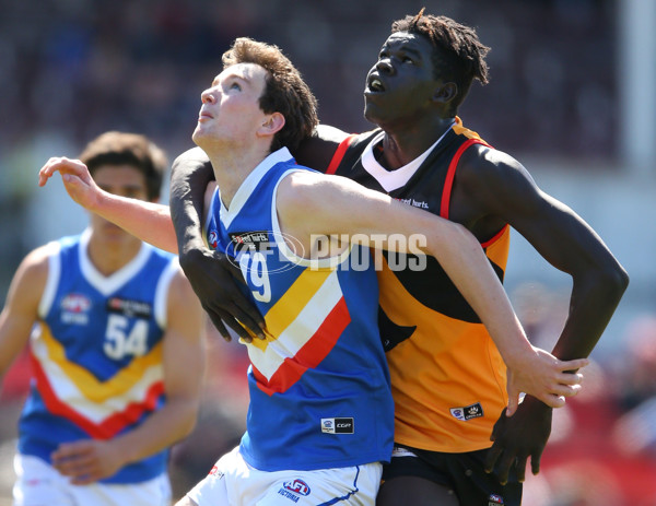 TAC 2015 Cup Semi Final - Dandenong Stingrays v Eastern Ranges - 404821