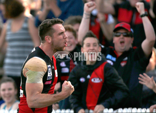 VFL 2015 Cup 1st Preliminary Final - Williamstown v Essendon - 404954