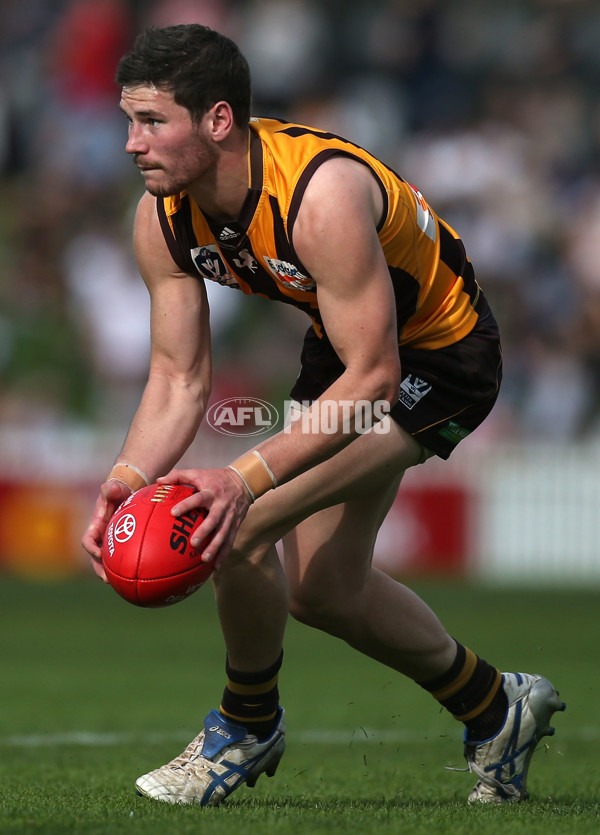 VFL 2015 Cup 2nd Preliminary Final - Box Hill v Sandringham - 404883