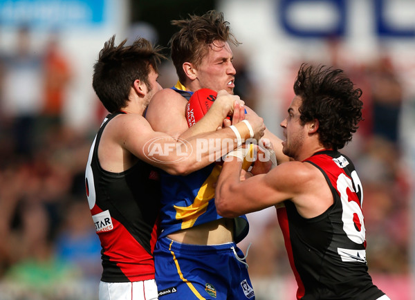 VFL 2015 Cup 1st Preliminary Final - Williamstown v Essendon - 404964