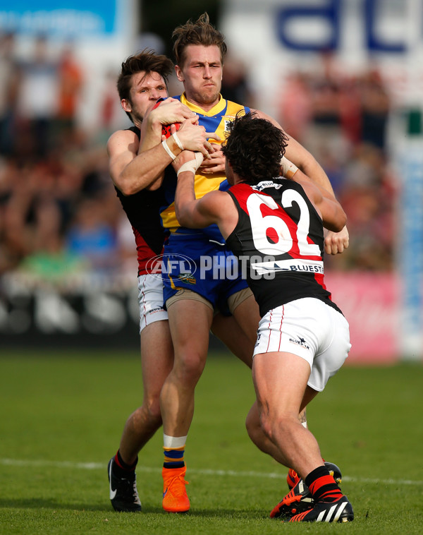 VFL 2015 Cup 1st Preliminary Final - Williamstown v Essendon - 404965