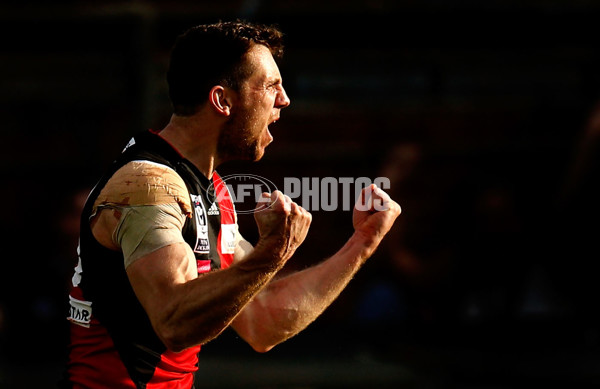 VFL 2015 Cup 1st Preliminary Final - Williamstown v Essendon - 404974