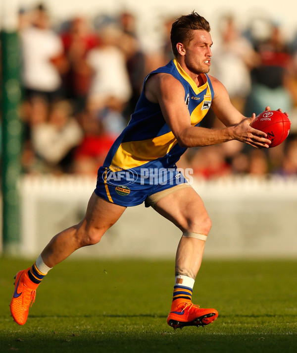 VFL 2015 Cup 1st Preliminary Final - Williamstown v Essendon - 404997