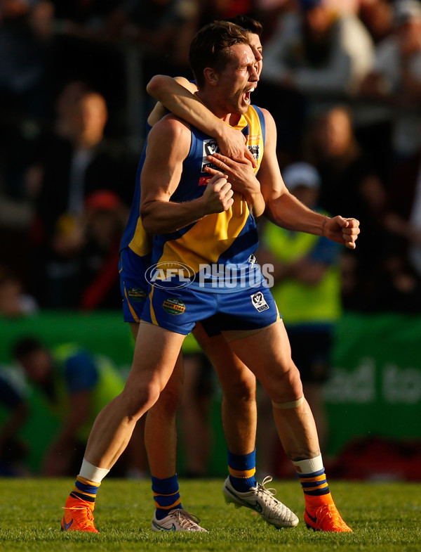 VFL 2015 Cup 1st Preliminary Final - Williamstown v Essendon - 405000