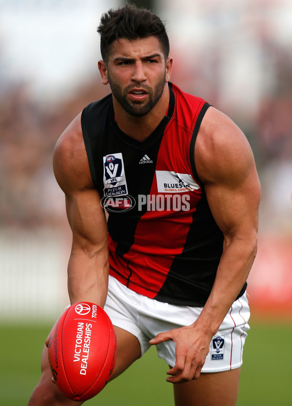 VFL 2015 Cup 1st Preliminary Final - Williamstown v Essendon - 405041