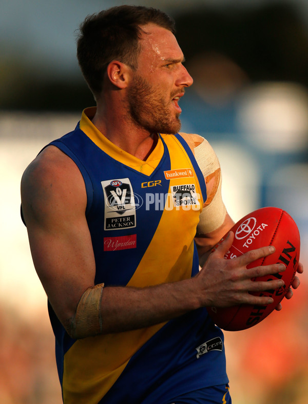 VFL 2015 Cup 1st Preliminary Final - Williamstown v Essendon - 404995