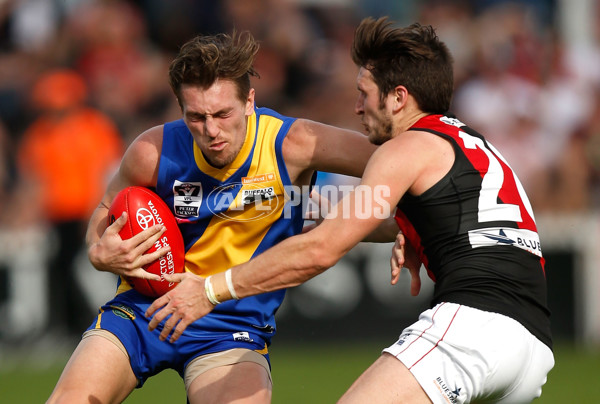 VFL 2015 Cup 1st Preliminary Final - Williamstown v Essendon - 404966