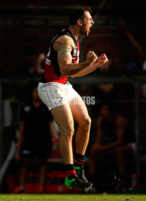 VFL 2015 Cup 1st Preliminary Final - Williamstown v Essendon - 405029