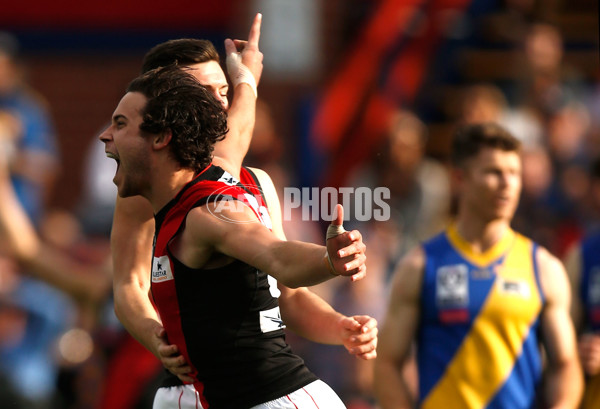 VFL 2015 Cup 1st Preliminary Final - Williamstown v Essendon - 405039