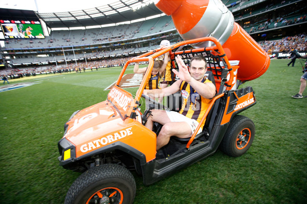 2015 Toyota AFL Grand Final - Hawthorn v West Coast - 408233