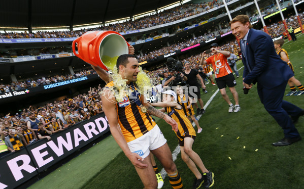 2015 Toyota AFL Grand Final - Hawthorn v West Coast - 408275