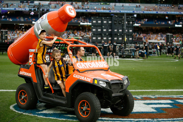 2015 Toyota AFL Grand Final - Hawthorn v West Coast - 408234