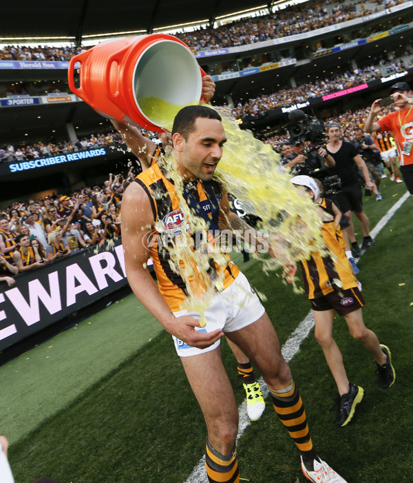 2015 Toyota AFL Grand Final - Hawthorn v West Coast - 408276