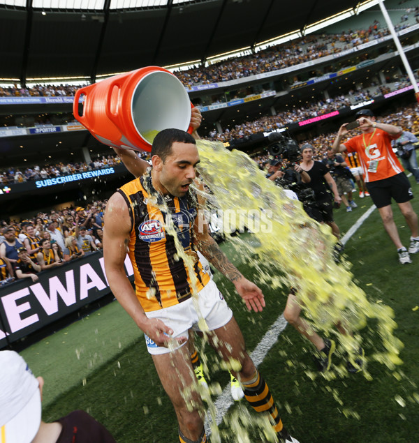 2015 Toyota AFL Grand Final - Hawthorn v West Coast - 408277