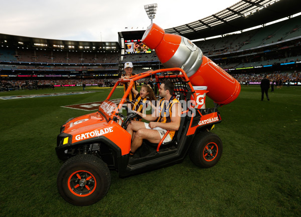 2015 Toyota AFL Grand Final - Hawthorn v West Coast - 408830