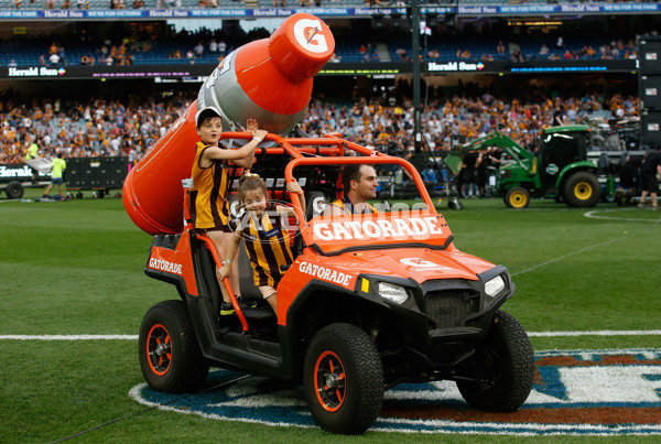 2015 Toyota AFL Grand Final - Hawthorn v West Coast - 408828