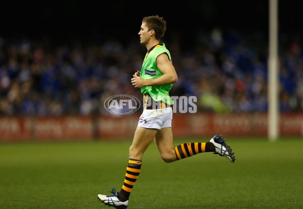 AFL 2014 Rd 16 - North Melbourne v Hawthorn - 336166