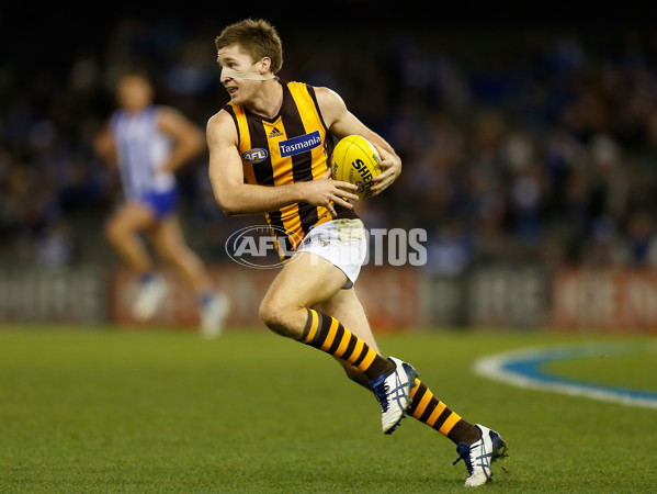 AFL 2014 Rd 16 - North Melbourne v Hawthorn - 336242