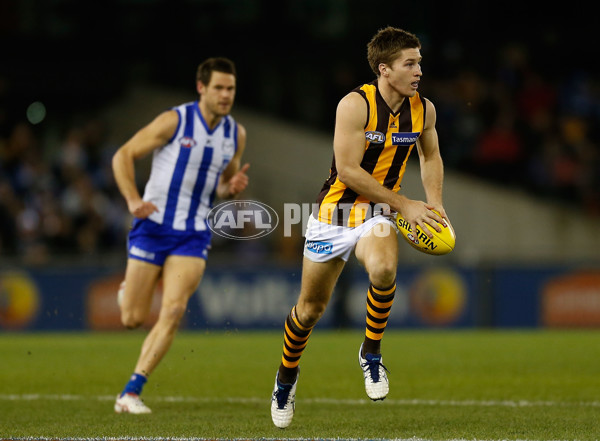 AFL 2014 Rd 16 - North Melbourne v Hawthorn - 336261