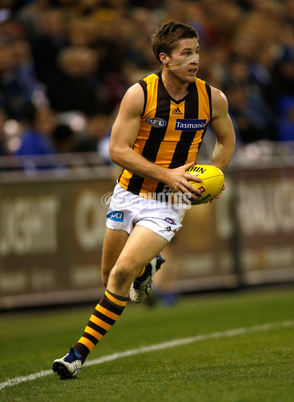 AFL 2014 Rd 16 - North Melbourne v Hawthorn - 336268