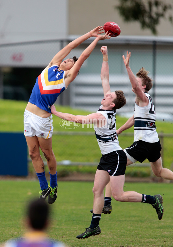 TAC Cup 2014 Rd 13 - Northern Knights v Eastern Rangers - 336306