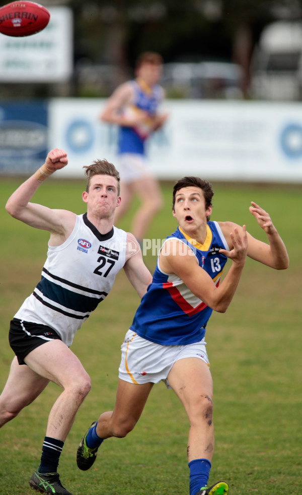 TAC Cup 2014 Rd 13 - Northern Knights v Eastern Rangers - 336302