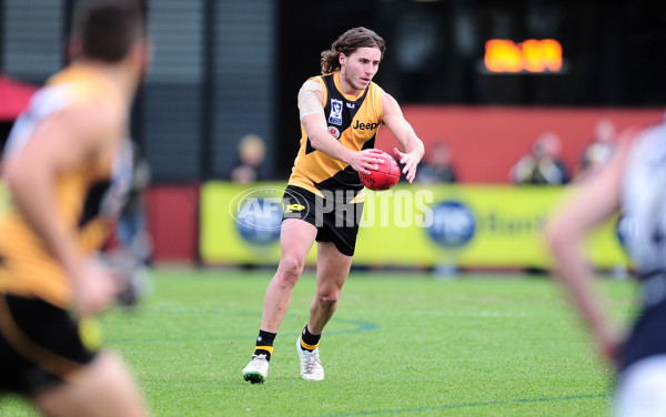 VFL 2014 Rd 13 - Richmond v Casey Scorpions - 336330
