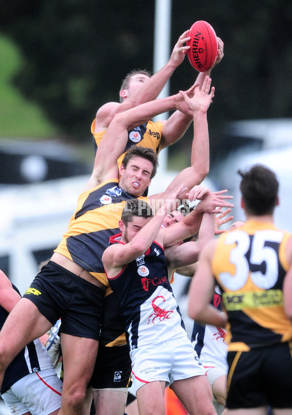 VFL 2014 Rd 13 - Richmond v Casey Scorpions - 336337