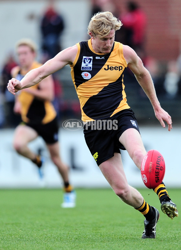 VFL 2014 Rd 13 - Richmond v Casey Scorpions - 336345