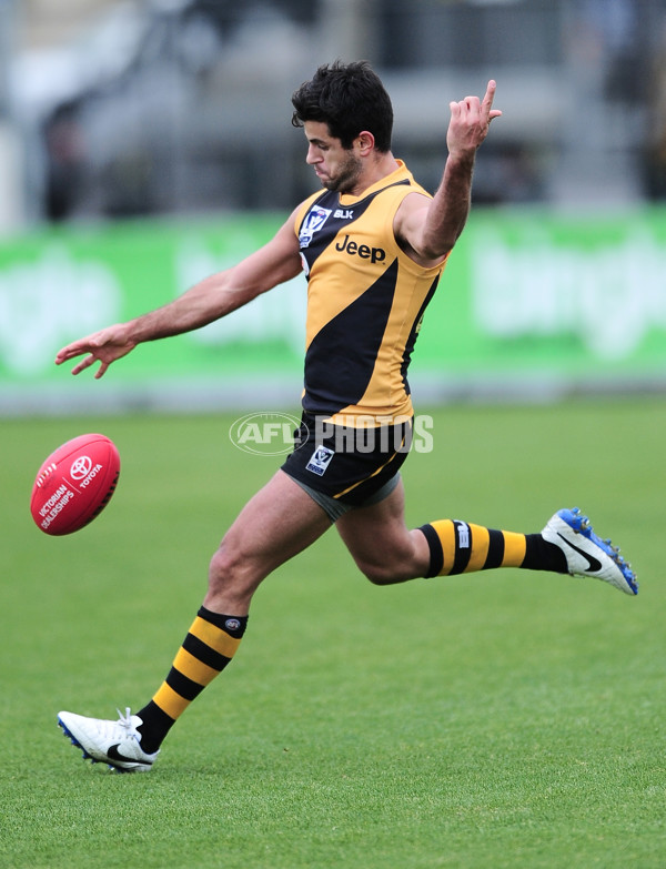 VFL 2014 Rd 13 - Richmond v Casey Scorpions - 336382