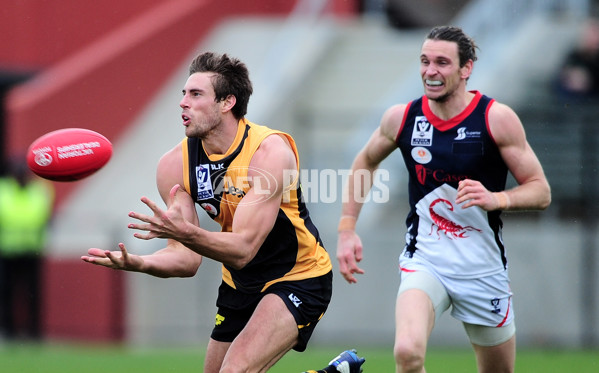 VFL 2014 Rd 13 - Richmond v Casey Scorpions - 336399