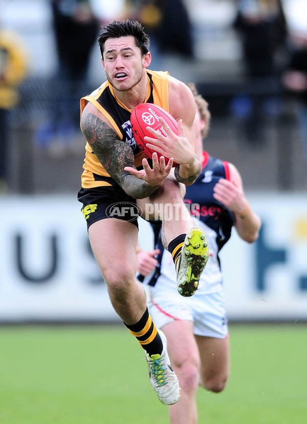 VFL 2014 Rd 13 - Richmond v Casey Scorpions - 336329