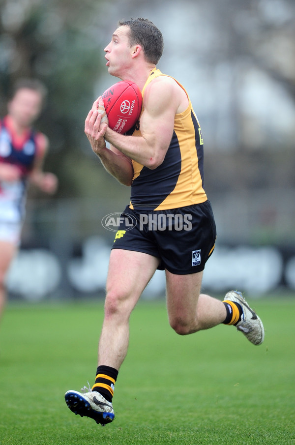 VFL 2014 Rd 13 - Richmond v Casey Scorpions - 336335