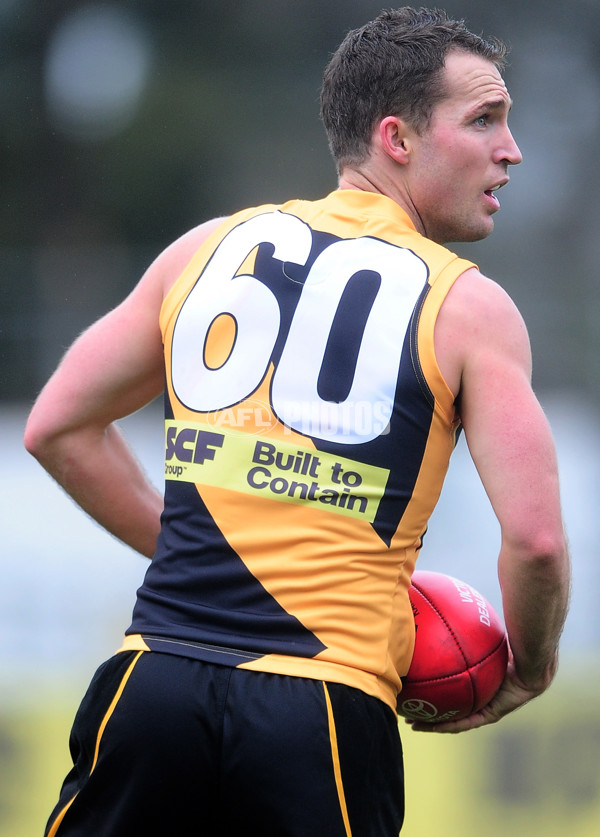 VFL 2014 Rd 13 - Richmond v Casey Scorpions - 336334