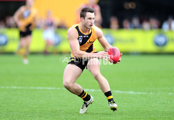 VFL 2014 Rd 13 - Richmond v Casey Scorpions - 336332